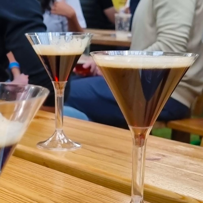 AIOS Plastic Martini Glass 2pc. Capacity 185ml. Pack of 20