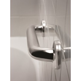 Delta 5700 Series (1-Pack) 18" Shower Grab Bar Seniors ADA Compliant Stainless Steel 450 lb Capacity Bathroom Safety Handle for Shower, Bathtub | Wall Mounted Balance Assist, Grip Bar DF5718SS