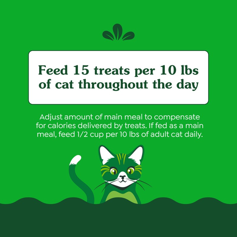 Greenies Feline Smartbites Skin & Fur Crunchy and Soft Cat