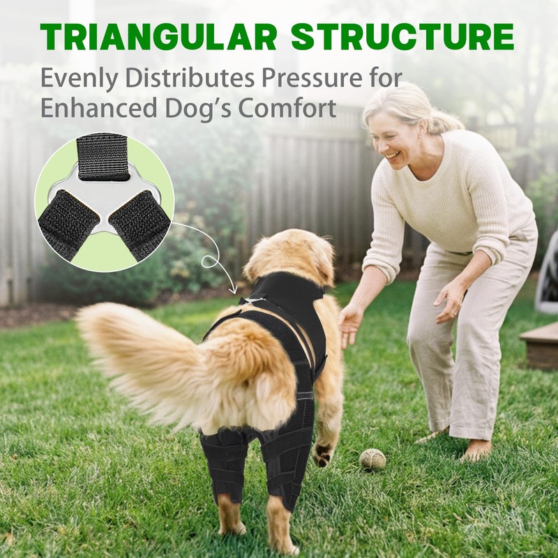 Marnonsis Dog Knee Brace for Torn Acl Hind Leg, Adjustable