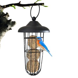 Fat Ball Holder, Bird Feeder for Fat Balls without Net for Hanging, Wild Bird House Feeding Station, Bird Feeding Column for Domestic Birds