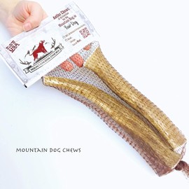 Mountain Dog Chews - Medium Whole Elk Antler 2 Pack - Elk Antler Dog Chew - Grade A Premium - Organic - Made in USA - No Mess