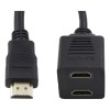 EGTMA Cable Y Splitter Divisor Hdtv 1 Entrada A 2
