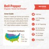 Back to The Roots 100% Organic Seed Packet Bell Pepper