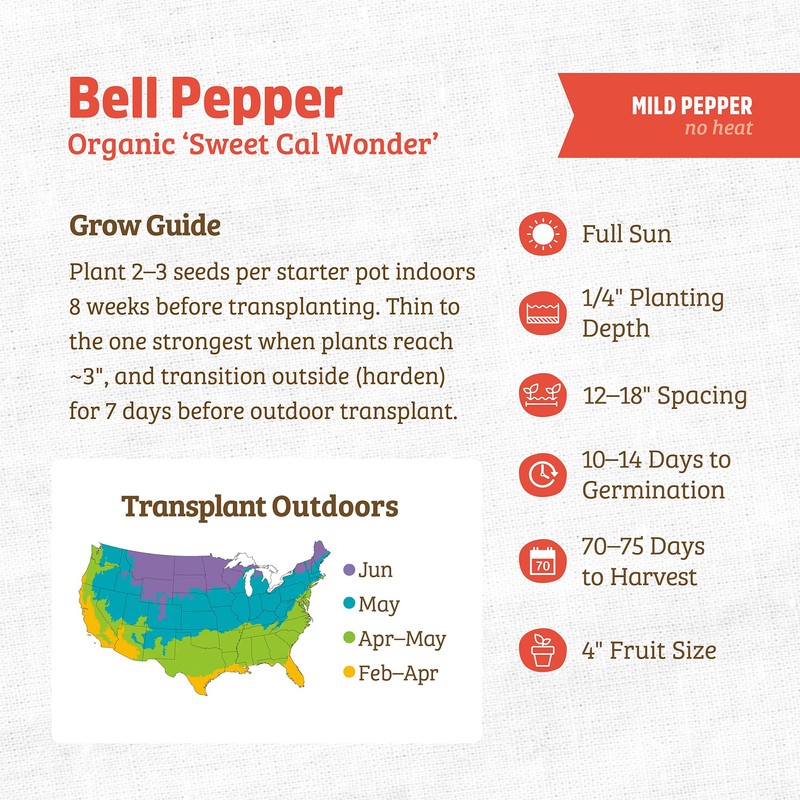 Back to The Roots 100% Organic Seed Packet Bell Pepper