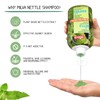 Nettle Shampoo – Helps Regulate Sebum Production, Reduce Dandruff &