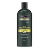 TRESemmé Shampoo Tresemmé Detox Aguacate Anti Contaminacion 1.15 L