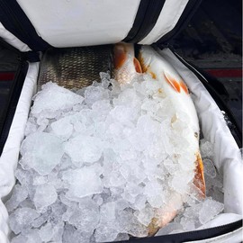 Buffalo Gear Kayak Fish Cooler Bag, 25in Portable Kayak Cooler for Caught Fish,Leak Proof Kayak Fishing Kill Bags with Shoulder Strap