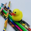 Duck Flash Drive - Memoria USB para almacenamiento de fotos,