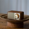 SANGEAN WR-301 FM Radio Bluetooth Speaker, Walnut