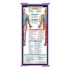 Whitecoat Clipboard® Trifold - Lilac Occupational Therapy Edition