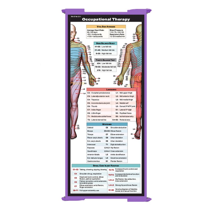 Whitecoat Clipboard® Trifold - Lilac Occupational Therapy Edition