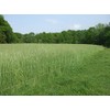 Lewis Family Farm 15 lb Cereal Rye Grain Seeds Open