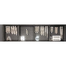 Stainless Cycle Yamaha Vstar 650 XVs650 Star Stainless Engine Bolt Set  Polished