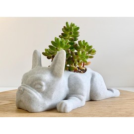 Doggy Planter | French Bulldog Planter Gift Idea, Bar Decor, Table Decor, Plant Gift Idea, Cute Succulent Planter, any canine/dog/French bulldog and plant lover! (Marbel)