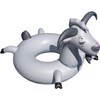 Swimline Inflatable Goat Swim Ring, Grey,56"/46"/16"-44"