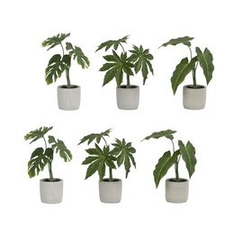 HomeStock Handcrafted Haven Plant in Grey Pot (Set of 6)
