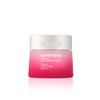 Estée Lauder Nutritious Melting Soft Creme Moisturizer/Face Mask Moisturizer