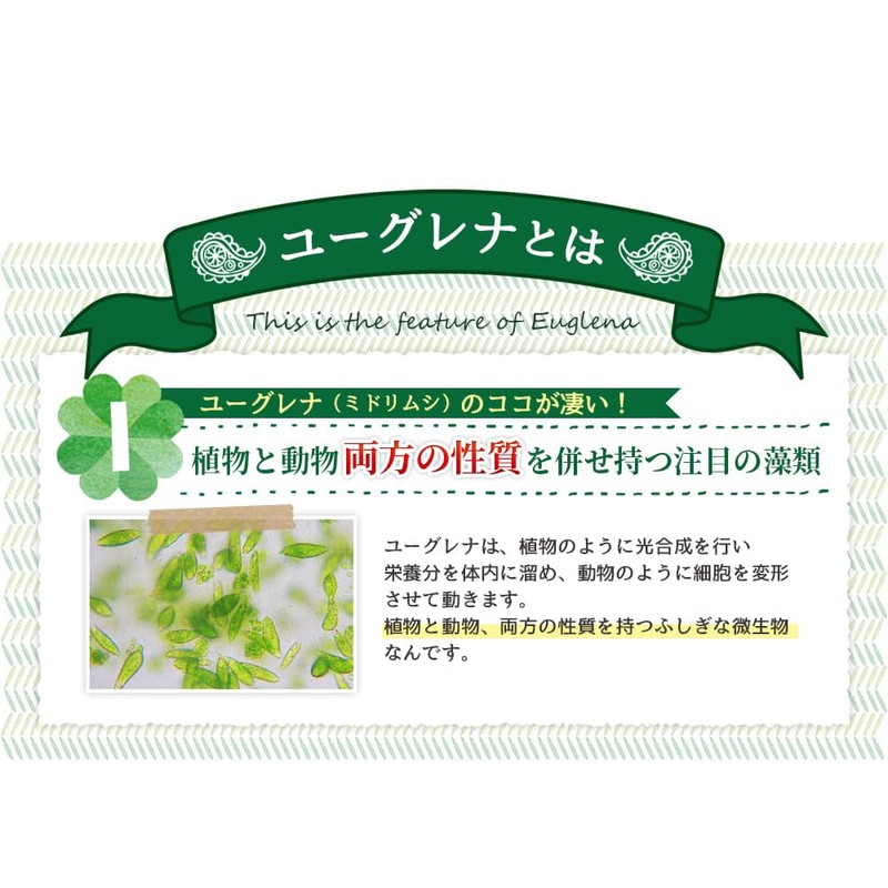 Eugrena's Blessings, 90 Tablets, Approx. 3 Month Supply, Eugrena, Gaseri