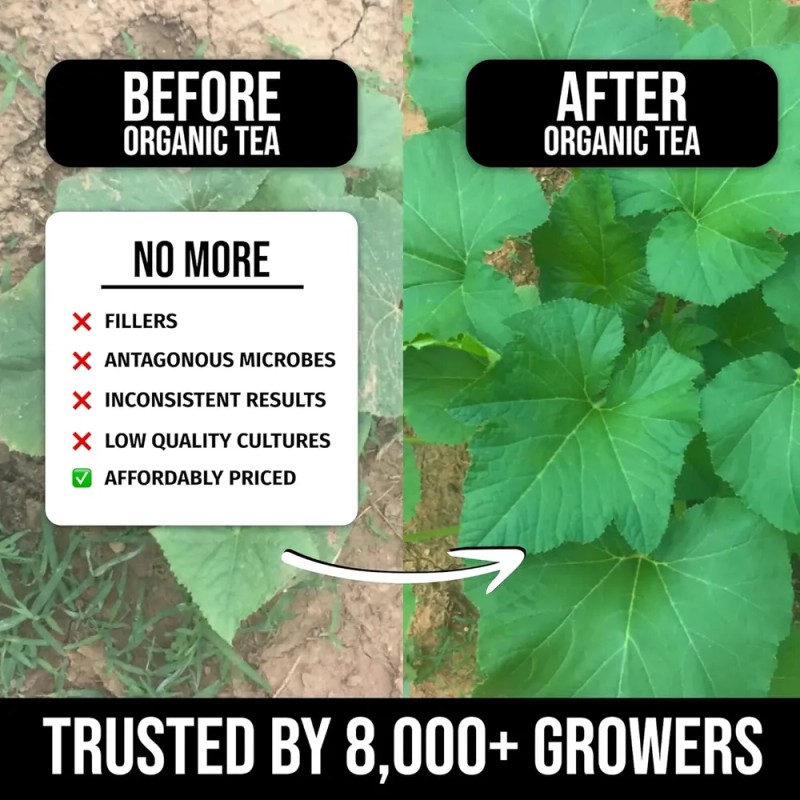 Té Compost Orgánico Probiótico Para Plantas 1lb