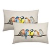 Oil Painted Bird Lumbar Pillow Covers 12X20 Inch Rustic Birds