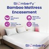 Queen Size Waterproof Bamboo Mattress Encasement by Slumberfy - Premium