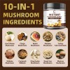 B Beworths Mushroom Coffee Blend – 10+ Mushrooms with MCT