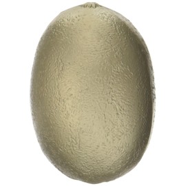 PLAY WOOD Fruit Shaker