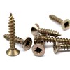 DOJA Barcelona Phillips Chipboard Screws with Bit Tip, 100 Wood