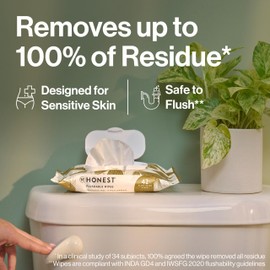 The Honest Company Flushable Wipes for Sensitive Skin | Fragrance Free, Hypoallergenic, 99% Water, Safe to Flush | pH Balanced Feminine Wipes | Gilded Wings, 42 Count