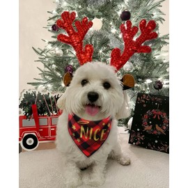 2 Pack Christmas Dog Bandanas, Buffalo Plaid Dog Holiday Bandana Xmas Scarf for Small Medium Large Dogs