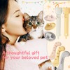 bobknow 8pcs Pet Food Suppliers Can Set, 6pcs Cat Can