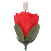 Flame Appearing Rose, Pack of 20 Fire Magic Trick Flame