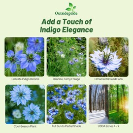 Outsidepride Jewels Indigo Nigella Seeds - 1000 Pcs Annual Flower Seeds for Planting with Vibrant Blooms & Lacy, Fern-Like Foliage, Attractive Cut Flower for Small Garden Spaces & Floral Arrangements