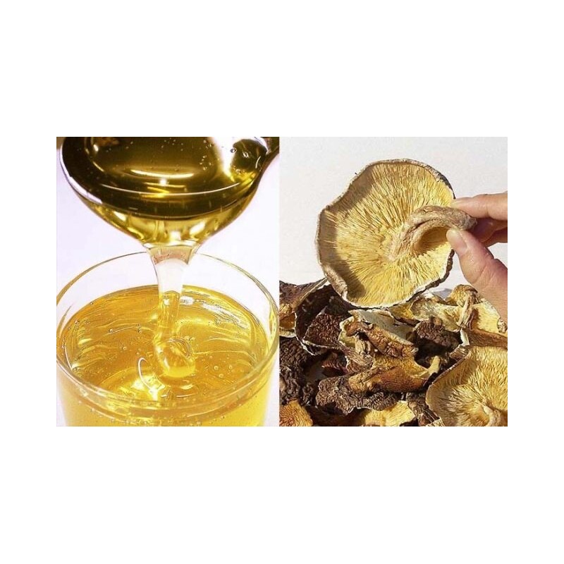 Kaneyo Tsuyu Handy Japanese Shoyu All-Purpose Soup Base Soy Sauce