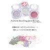 iro gel Nail Art, Aurora Dazzling Powder, Set of 2,