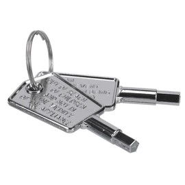 WR01X28053 - Llave de puerta compatible con congeladores GE - Budora - RF-3898-01, 4589314, PS12172397