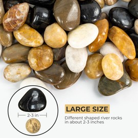 VINICS 5lbs Large Pebbles for Indoor Plants, 2-3 Inch Natural River Rocks for Aquarium, High Polished Decorative Stones for Vase Filler Fish Tank Landscaping, Mixed Color Garden