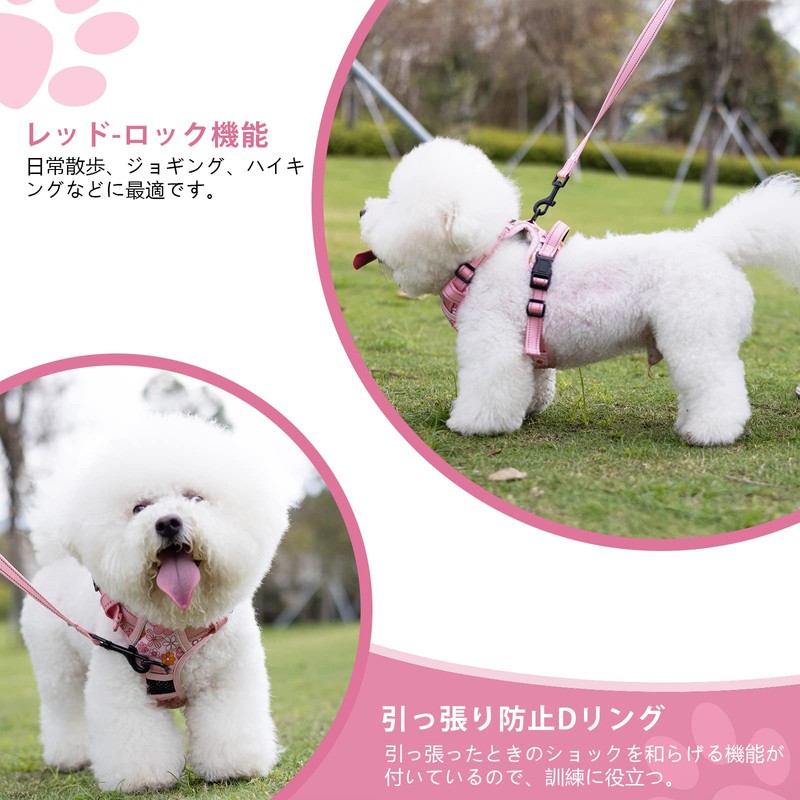 BaoCheng Dog Harness, 2025 Newest Dog Harness, For Small Dogs,