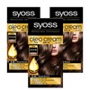 Ceos 사이오스 올레오 크림 컬러 3N 로얄브라운 100ml 3개 Cious Oleo Cream Color 3N Royal Brown 100ml 3 Pieces