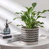 Chubacoo 8 Inch Plant Pots: Ceramic Planter Pot with Drainage