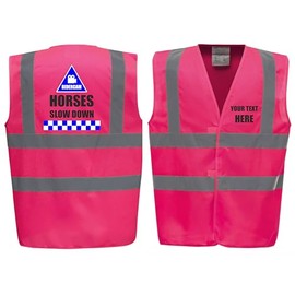 Ridercam Horses Slow Down - Horse Riding Equestrian Premium Pink Hi Vis Safety Vest Reflective Waistcoat Road Safety High Visibility, Can Personalise. (Pink, Large)
