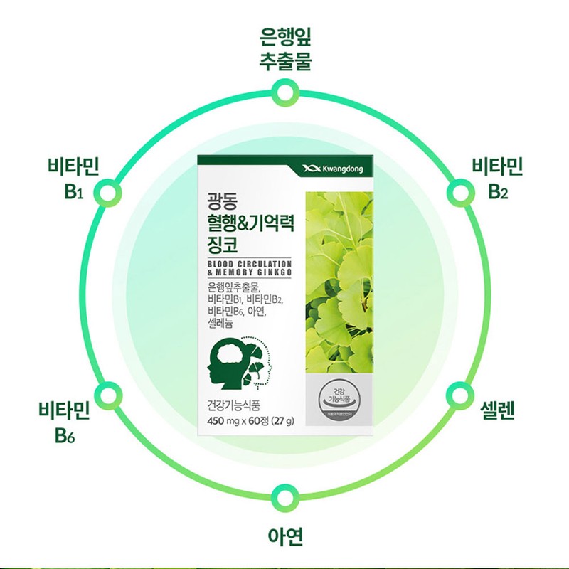 Guangdong Life Health Partner 1+1 Guangdong Blood Circulation Memory Ginkgo
