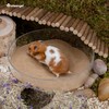 Niteangel Hamster Desert Bath Sand | No-Dust Bath or Potty