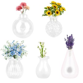 5pcs Mini Ceramic Vase Fridge Magnets, Transparent Flower Vases Tiny Cute 3D Plant Magnets Funny Refrigerator Decoration for Home Office Kitchen Whiteboard (Style D)