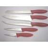 Kittamor 6 Knife Set with Red Wooden Block