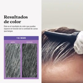 Just For Men Control Gradual | Tinte Capilar Negro Natural | 40 g | Reducción Progresiva de Canas