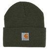 Carhartt unisex child Acrylic Watch Cold Weather Hat, Olive, 2-4