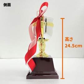 FB-125A Winning Cup 24.5cm Tall with Winning Letter Plate Resin Trophy 5 Pennants