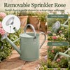 1 Gallon Metal Watering Can for Indoor Outdoor Plants, Cream
